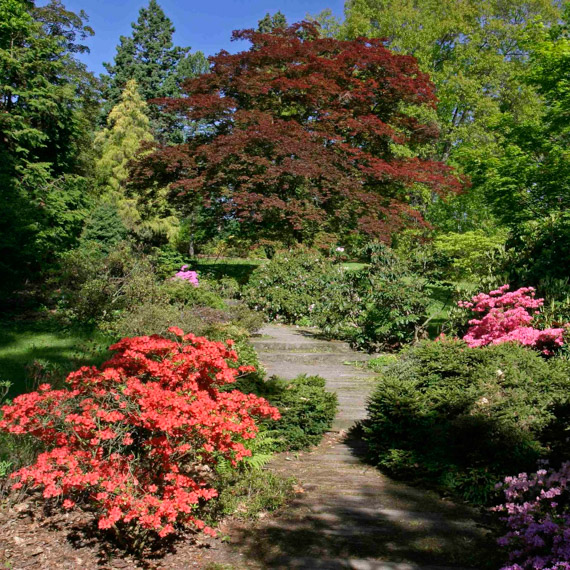 Arboretum Nový Dvůr