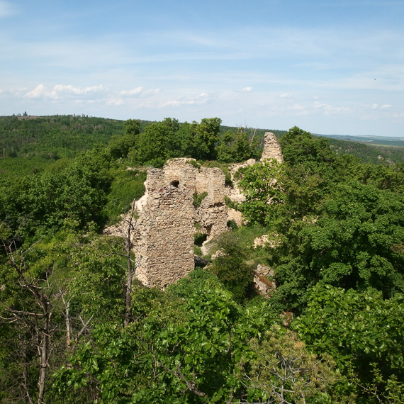 Zřícenina Templštejn